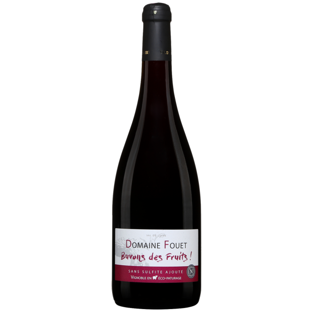 Domaine Fouet Saumur Red Wine