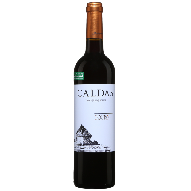 Domingos Alves de Sousa Douro Red Wine